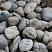Kamenclub.ru: Речной валун (Ассорти) фр.100-300 мм.  купить в Сургуте галечник серый, темно-серый, светло-серый речная галька крупных размеров 4200 руб/т   фото КАМЕНЬ КЛУБ
