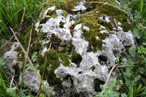 Kamenclub.ru: Выветренный известняк со мхом фр. 100-500 мм.  купить в Сургуте известняк серый белый зеленый валун известняковый крупный 10000 руб/т   фото КАМЕНЬ КЛУБ