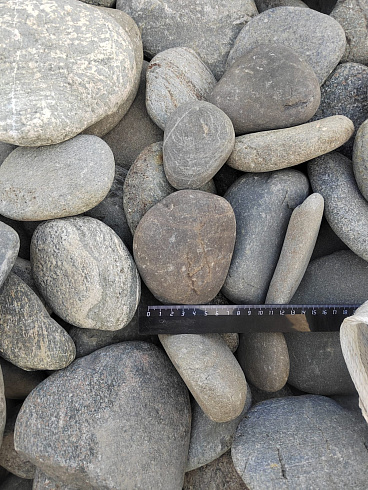 Kamenclub.ru: Галька речная плоская (ассорти) фр. 70-150 мм. купить  в Сургуте галька галечник серый белый темно-серый синий светло-серый плоская природная галька  9000 руб/т   фото КАМЕНЬ КЛУБ