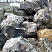 Kamenclub.ru: Черный гранит - кварцит фр. 100-500 мм.  купить в Сургуте мрамор гранит черный с белыми прожилками, серый, белый валун скальный колотый 7000 руб/т   фото КАМЕНЬ КЛУБ