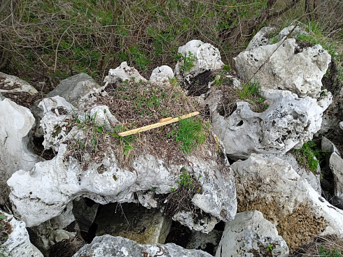 Kamenclub.ru: Выветренный известняк (степной) фр. 500-1500 мм.  купить в Сургуте    10000 руб/т   фото КАМЕНЬ КЛУБ