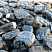 Kamenclub.ru: Щебень галтованный черный (мрамор) фр.20-40 мм.  купить в Сургуте мрамор черный с белыми прожилками мрамор окатанный округлый 15000 руб/т   фото КАМЕНЬ КЛУБ