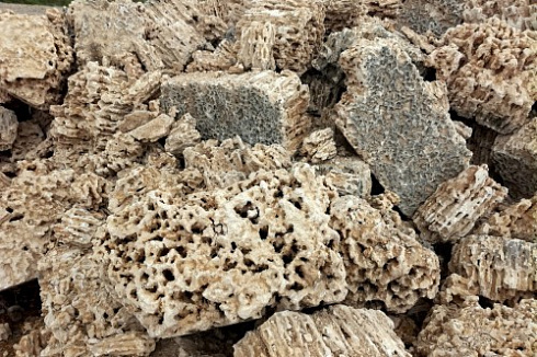 Kamenclub.ru: Крымский природный меотис фр. 100-500 мм.  купить в Сургуте меотис бежевый рыжий молочный желтый ракушечник 4 500 руб/т   фото КАМЕНЬ КЛУБ