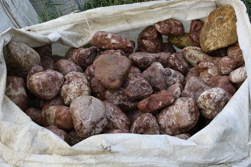 Kamenclub.ru: Розовый валунчик фр.100-300 мм.  купить в Сургуте крупный природный камень розовый, серый молочный красный речной галечник природный 7850 руб/т   фото КАМЕНЬ КЛУБ