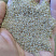Кварцевый песок для площадок фр. 0,3 - 1 мм.  купить в Сургуте фото Камень Клуб