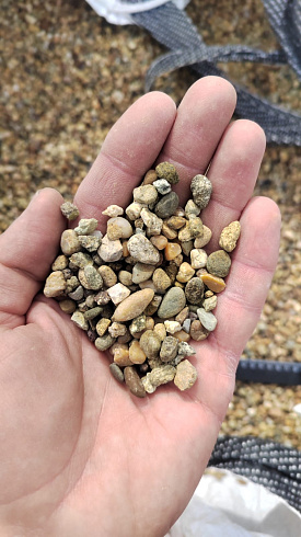 Kamenclub.ru: Галька окат (серо-желтая) фр.5-10 мм. купить  в Сургуте галька речная рыжий, желтый, рыжий, серо-желтый речная окатанная галька декоративная 5000 руб/т   фото КАМЕНЬ КЛУБ